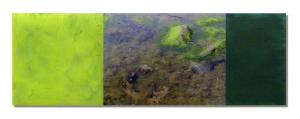 Malerei - Fotografie - Korrespondenz – <b> Kildony Point (Triptychon)</b>, C-Print/Diaplex und Mischtechnik hinter Plexiglas, insgesamt 50 cm x 150 cm x 2 cm, 2012