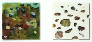 Malerei auf Acrylglas 1 (bis 2008) – <b>o.T.</b> und <b>Torfmoos II</b>, Mischtechnik hinter Plexiglas, je 50 x 50 cm, 2008