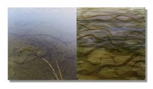 Malerei - Fotografie - Korrespondenz – <b>WasserLinien (Diptychon)</b>, C-Print/Diaplex und Mischtechnik hinter Plexiglas, je 50 x 50 x 2 cm, 2012